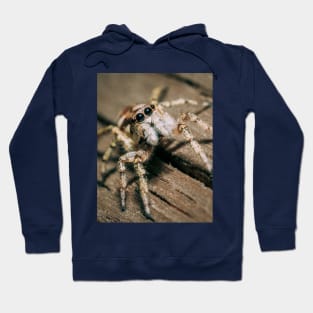 Don't Step on a Crack! Macro Jumping Spider Photograph Hoodie